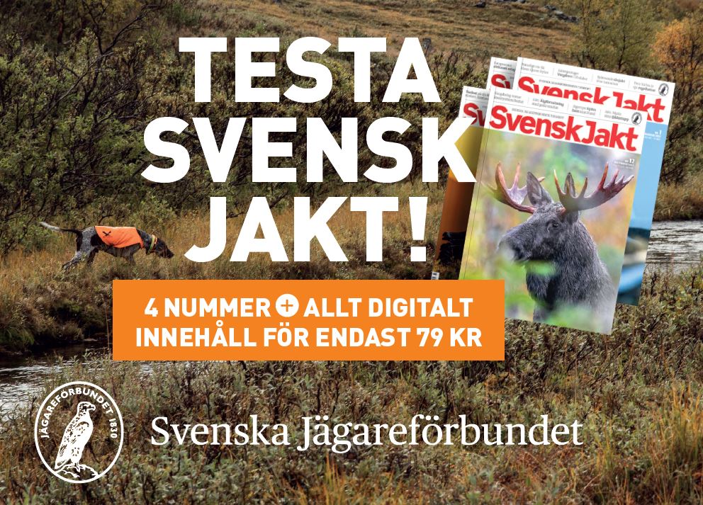 Testa Svensk Jakt Svenska Jägareförbundet