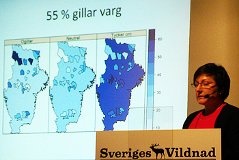 Camilla Sandström, Umeå universitet. Foto: Fredrik Widemo