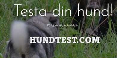 Hundtest-logga.jpg
