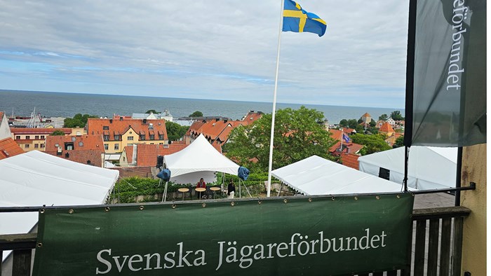 Förbundets insatser under Almedalsveckan