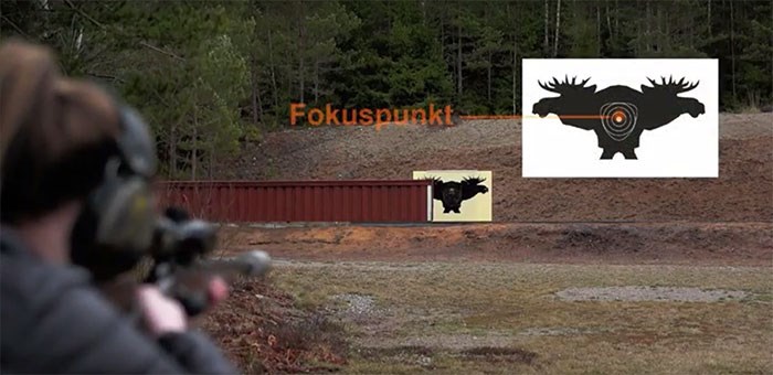 Skjutbana älg