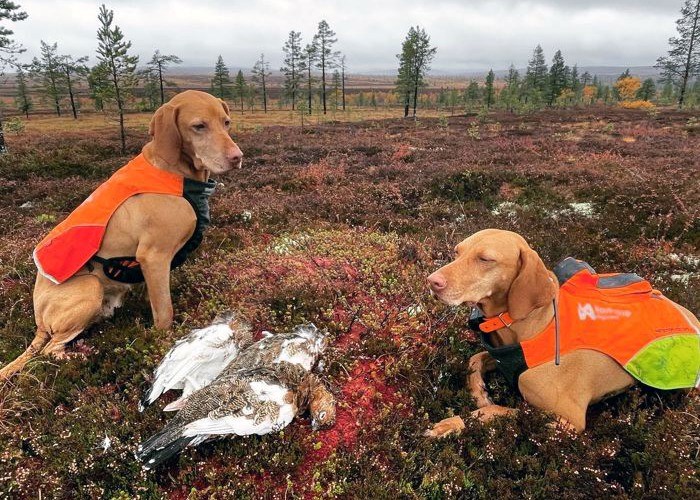 Fotograf:	Malin Liljeholm