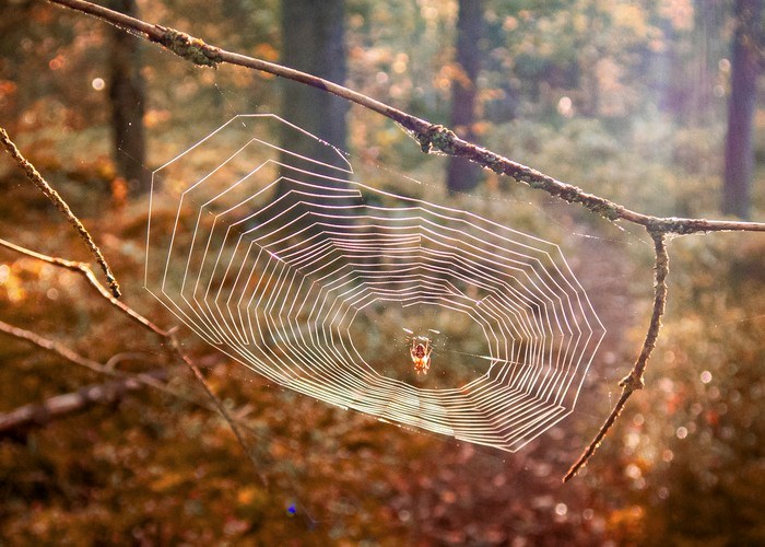 Fotograf:	Madeleine Lewander