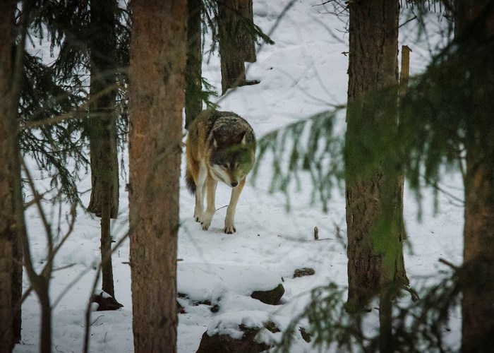 Fotograf:	Madeleine Lewander