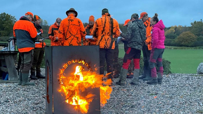 Ledig tjänst: Chef jakt och viltförvaltning