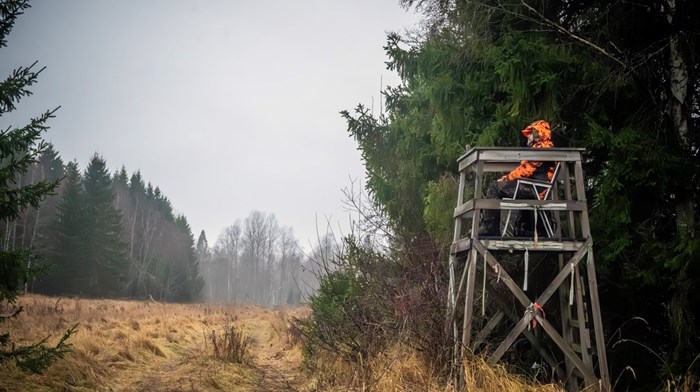 Föreslår en uppdaterad viltförvaltningslagstiftning