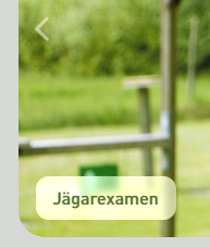 imagedg2a4.png