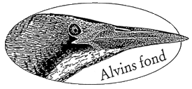 Alvins-fond kopiera.png