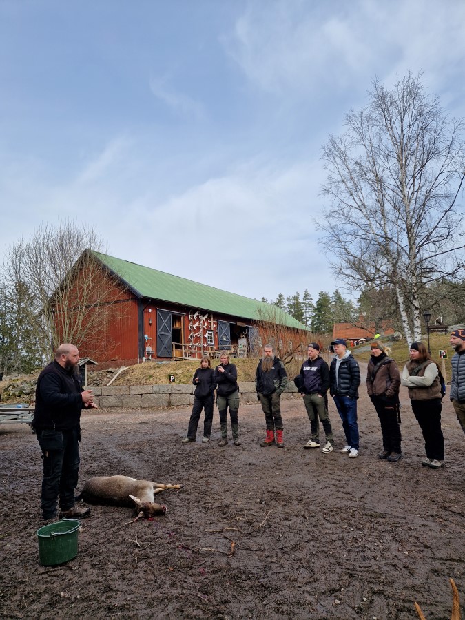 F&auml;lld dov korr.jpg