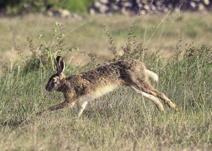 Fotograf:	Mostphotos