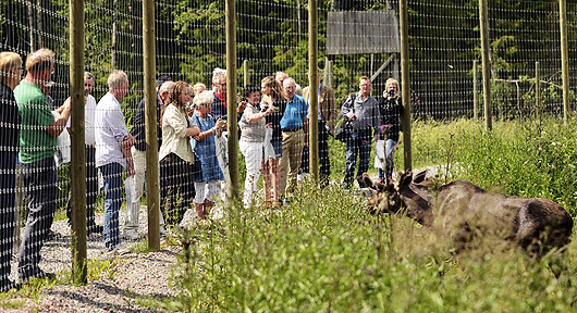 Öster Malma Wildlife Park