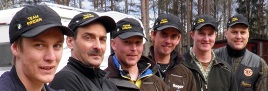 Svenska EM-laget 2012