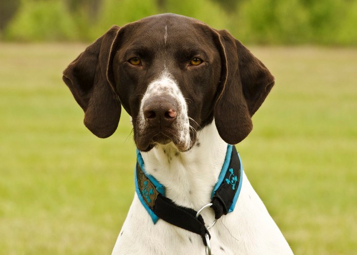 Fotograf:	Madeleine Lewander