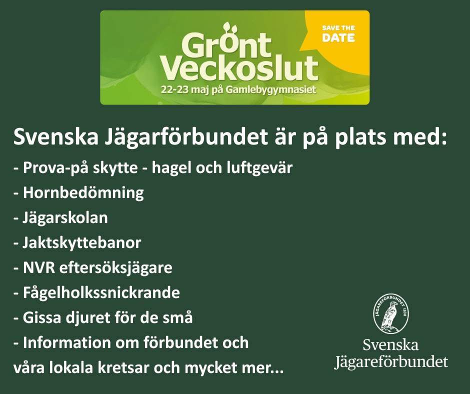gr&ouml;nt v 26.jpg
