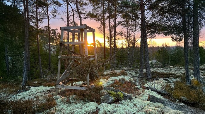 Kretsarnas och länsföreningarnas årsmöten 2026