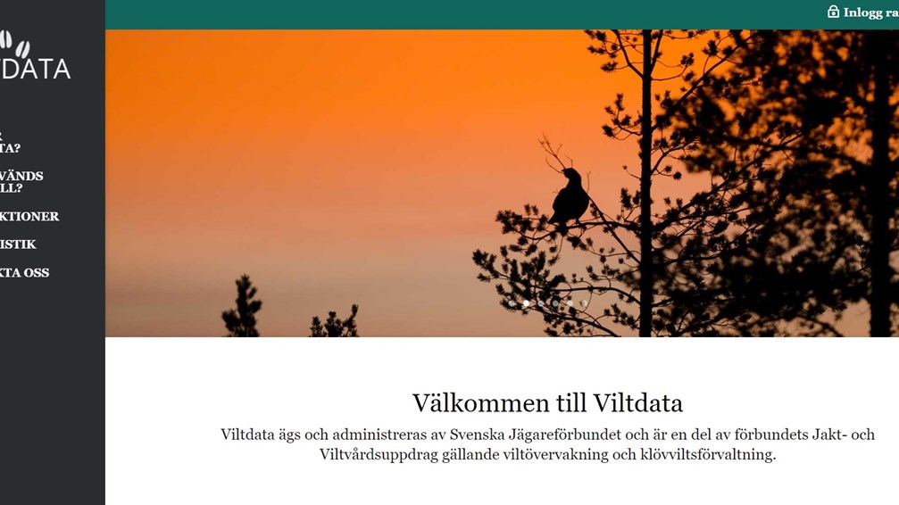 Hämtat från www.viltdata.se