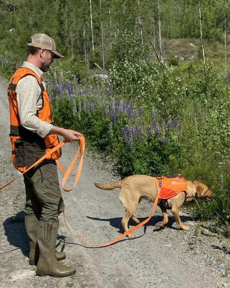 Foto: Pauline Svangård