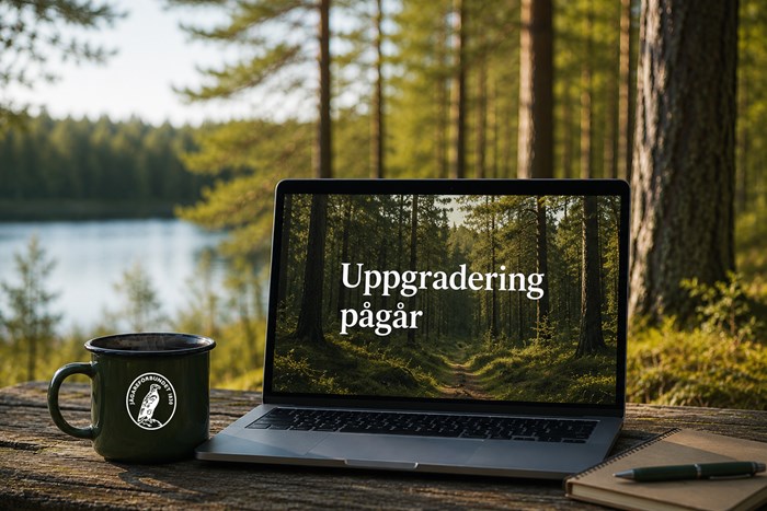Uppdatering: Planerat underhåll av inloggningstjänsten söndag kväll