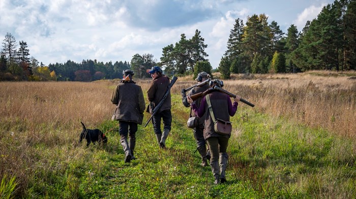Jakttider och AI — se till att det blir rätt