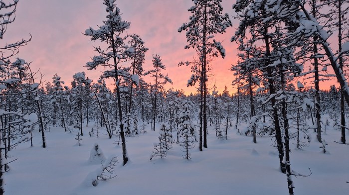 Förbundet satsar på utveckling