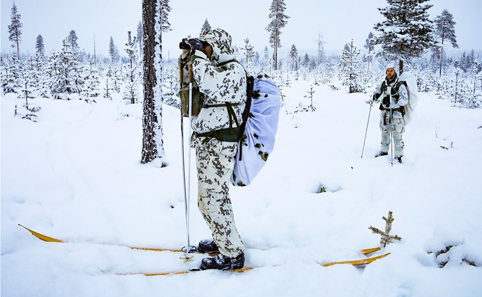 Året som gått 2025 — viktiga händelser och framgångar