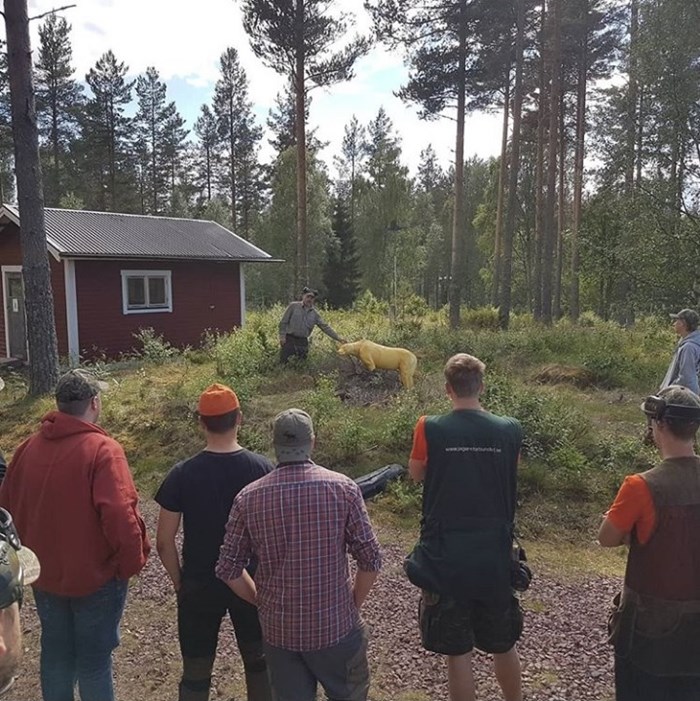 Rasmus Boström tillsammans med unga jägare berättar och om hur björnjakten kan gå till. Foto Anette Eklund