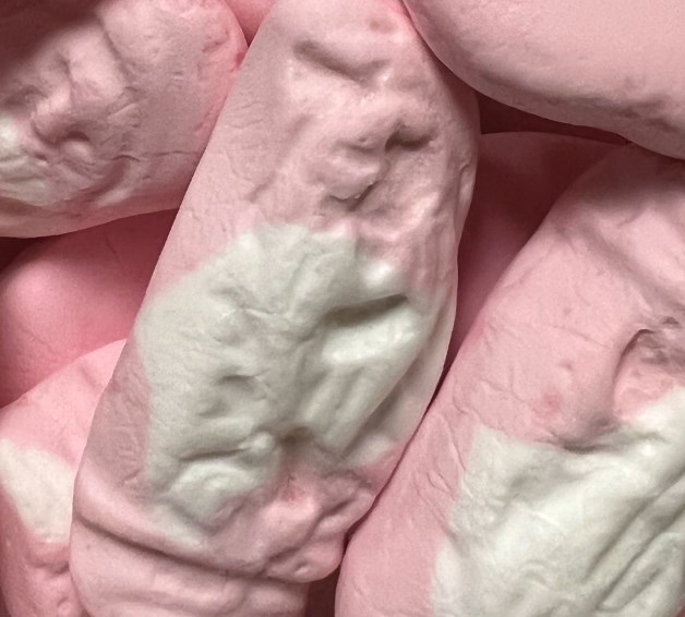 Foto: Mattias Scholz