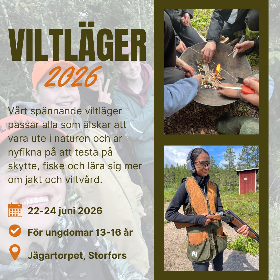 viltläger.jpg