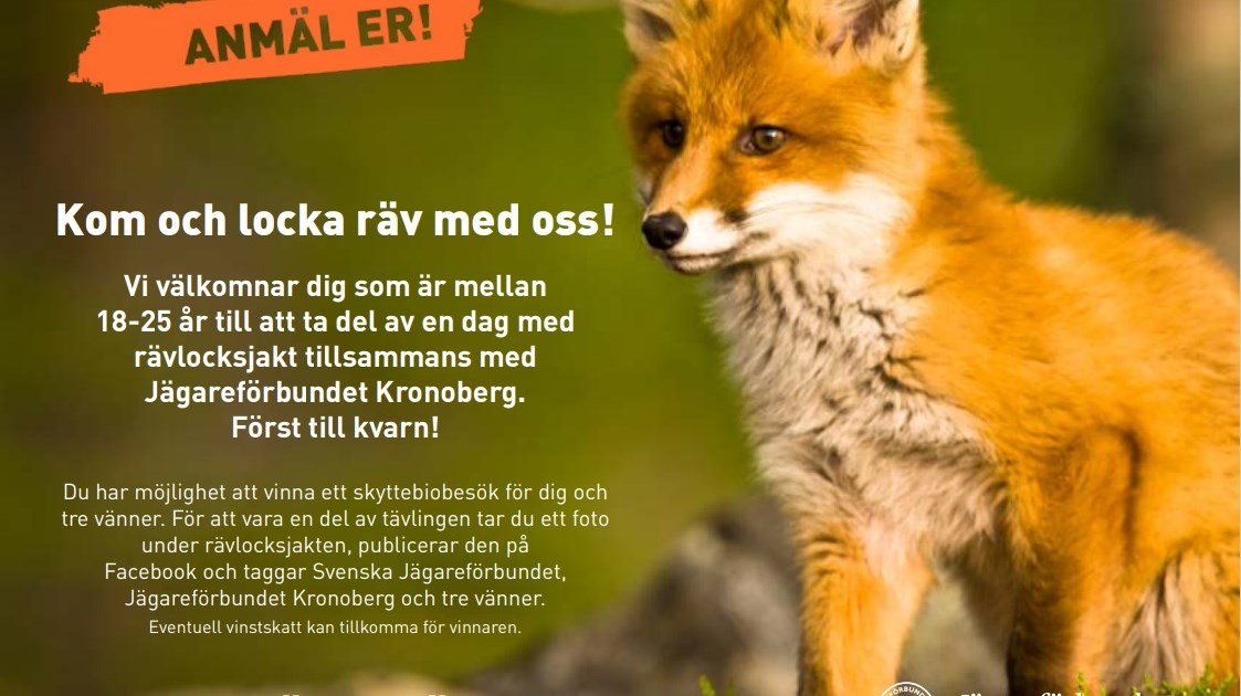 Kom och locka räv med oss! - Jägareförbundet Kronoberg
