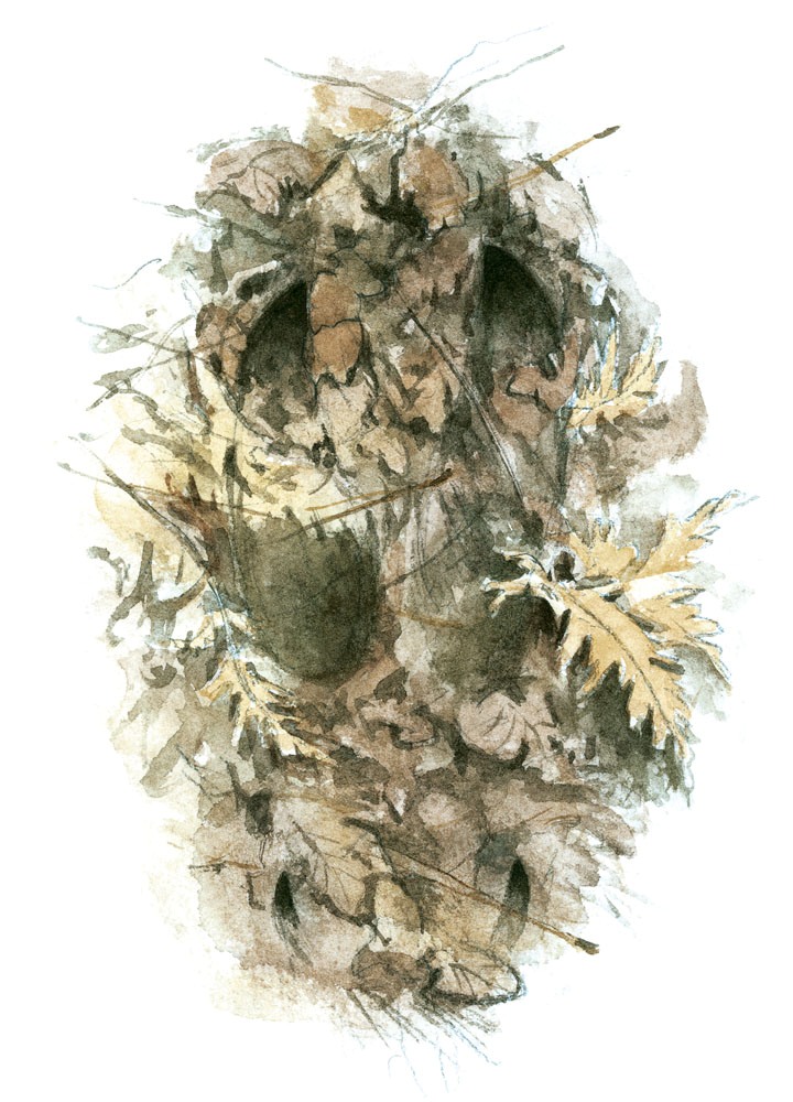 Avtryck från älgklöv i skogsmark. Illustration: Rolf Svensson