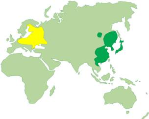 Figur 1. Mårdhundens naturliga utbredningsområde (grönt) samt dess etablering genom frisläppning och sekundär spridning i Europa (gult).