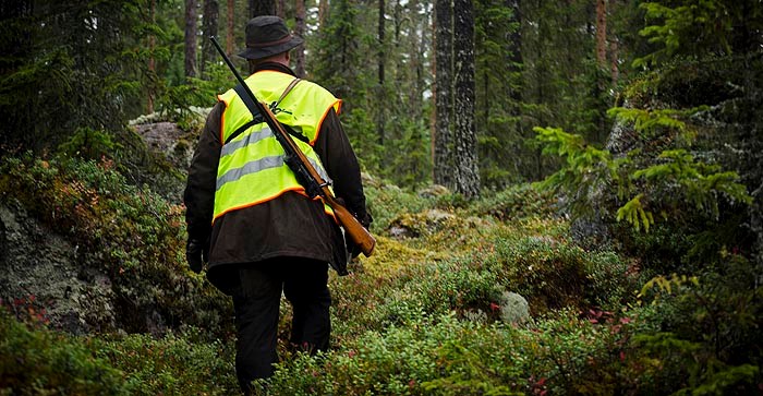 - Jägarna är idag i princip de enda som bekostar den nya älgförvaltningen, cirka 35 – 40 miljoner kronor årligen via fäll- och registreringsavgifter. Foto: Madeleine Lewander
