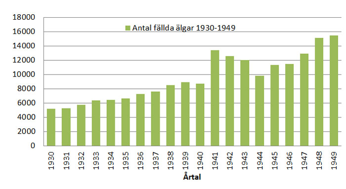 Avskjutning älg i Sverige 1930-1949