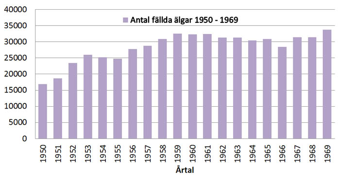 Avskjutning älg i Sverige 1950-1969