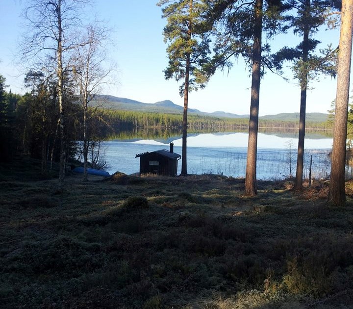 Älgjakt Vemhån Jägareförbundet Östergötland