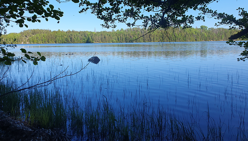 Sjön LIkstamman på Öster Malma
