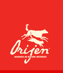 Origen logotype